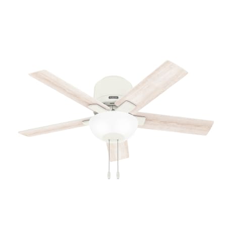 Hunter Fitzgerald 44" 5 Blade LED Indoor Ceiling Fan Matte White