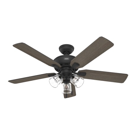Hunter Rosner 52" 5 Blade Indoor LED Ceiling Fan Matte Black