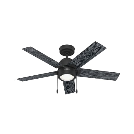 Hunter Erling 44" 5 Blade Indoor LED Ceiling Fan Matte Black