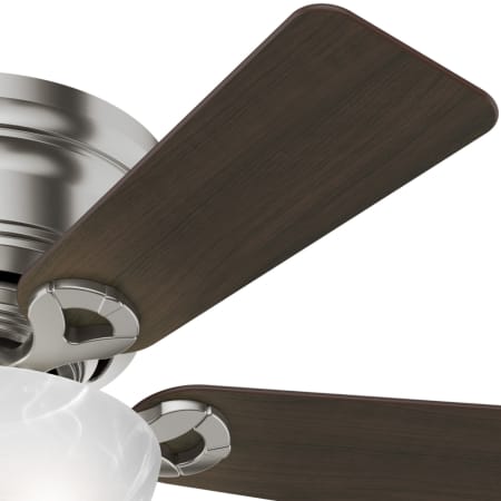 Hunter 52139 Haskell Fan Blade Finish 1