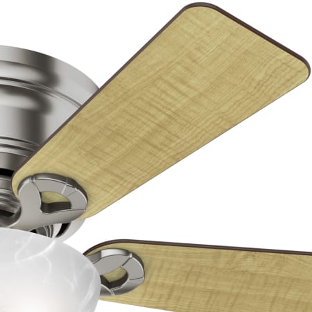 Hunter 52139 Haskell Fan Blade Finish 2