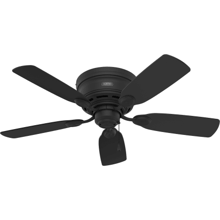 Hunter Low Profile 42" 5 Blade Indoor Ceiling Fan Matte Black