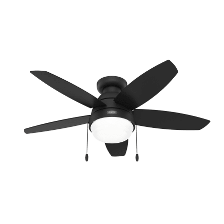 Hunter Lilliana 44" 5 Blade LED Indoor Ceiling Fan Matte Black