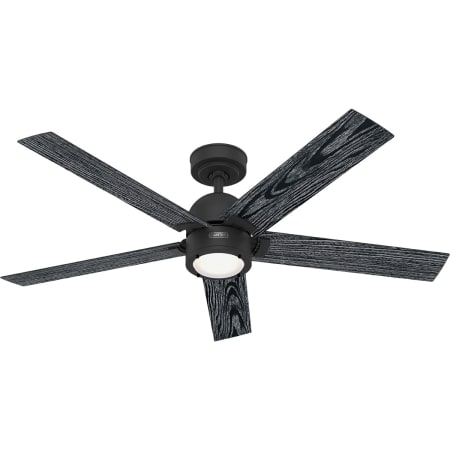 Hunter Erling 52" 5 Blade Indoor LED Energy Star Ceiling Fan Matte Black