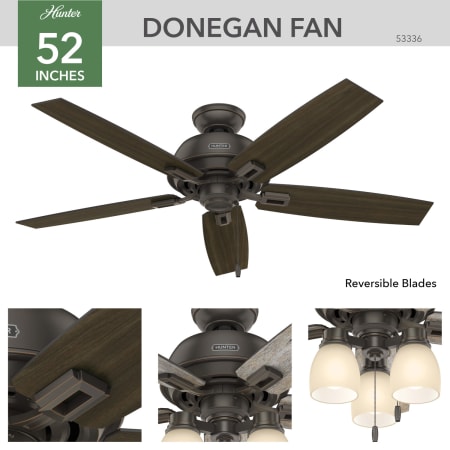 Hunter 53336 Donegan Ceiling Fan Details