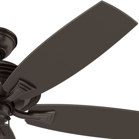 Hunter 53347 Rainsford Fan Blade Finish 1