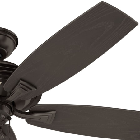 Hunter 53347 Rainsford Fan Blade Finish 2