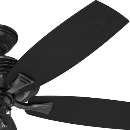 Hunter 53348 Rainsford Fan Blade Finish 1