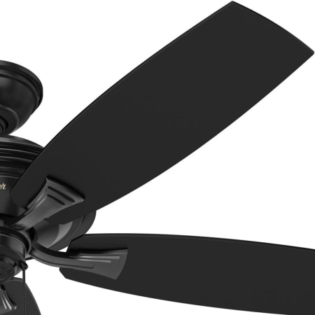 Hunter 53348 Rainsford Fan Blade Finish 2