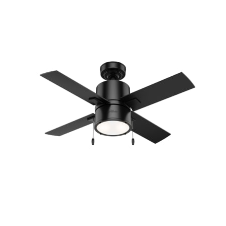 Hunter Beck 42" 4 Blade LED Indoor Ceiling Fan Matte Black