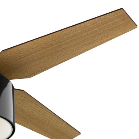 Hunter 59257 Cranbrook Fan Blade Finish 2