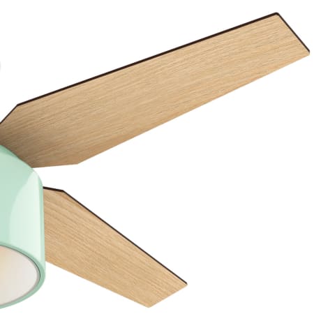 Hunter 59258 Cranbrook Fan Blade Finish 1