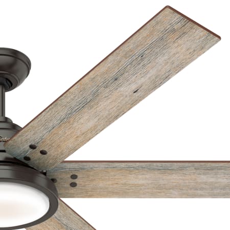 Hunter 59461 Warrant Fan Blade Finish 1
