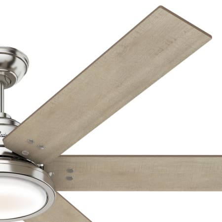 Hunter 59462 Warrant Fan Blade Finish 2