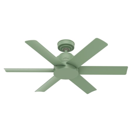 Hunter Kennicott 44" 6 Blade Indoor / Outdoor Ceiling Fan with Wall Control Dusty Green