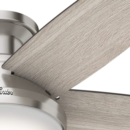 Blade View