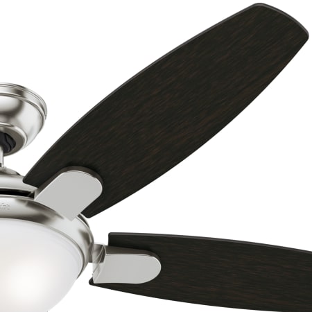 Blade View