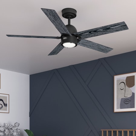 Alternate Image