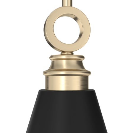 Alternate Image