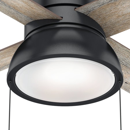 Fan Light Kit - Noble Bronze