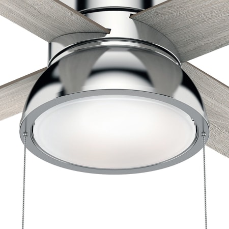 Fan Light Kit - Polished Nickel