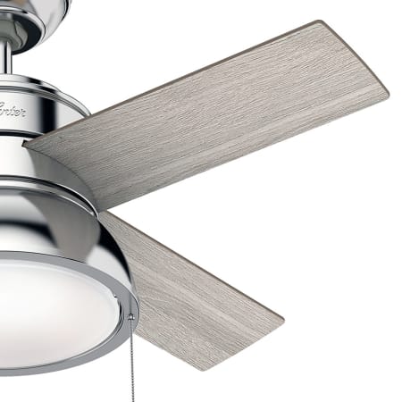 Light Grey Oak Blades