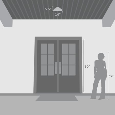 Alternate Image