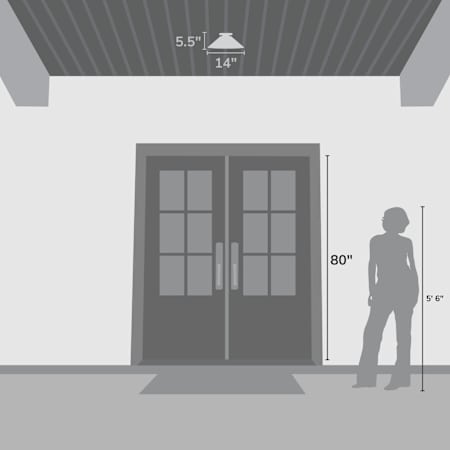Alternate Image