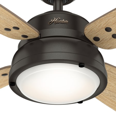 Hunter-Wingate 52 LED-Light Kit Image