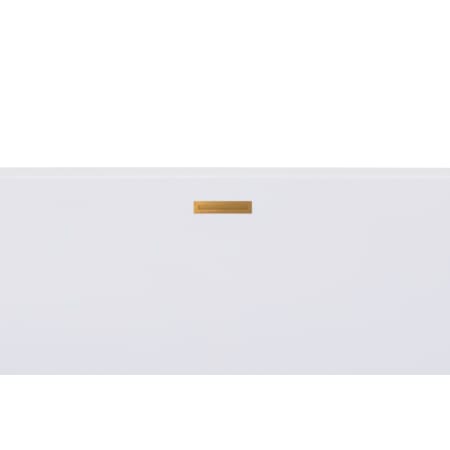 Hydrosystems Linear Integral Waste and Overflow Polished Brass
