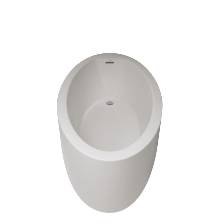 Alternate Image