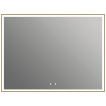 ICO Bath Eden 48" W x 36" H Modern Rectangular Aluminum Framed Bathroom Wall Mirror with Light Brushed Bronze