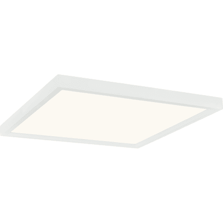 James Allan Randolph Single Light 15" Wide LED Panel White Lustre