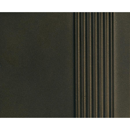 Alternate View