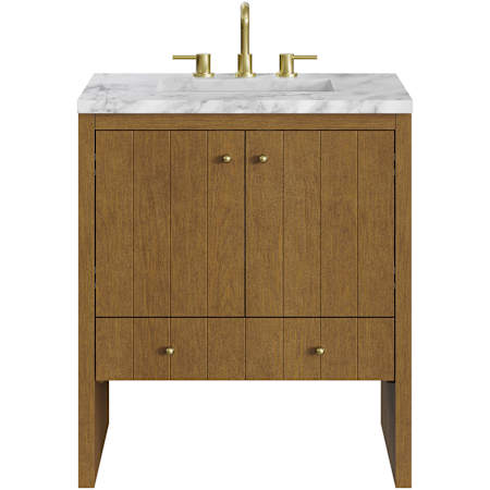 James Martin Vanities Hudson 30" Free Standing Single Basin Poplar Wood Vanity Set with Marble Top, Rectangular Sink, USB Port(s), and Electrical Outlet(s) Honey Oak