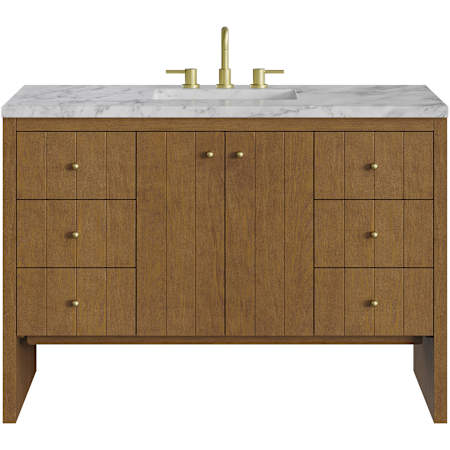 James Martin Vanities Hudson 48" Free Standing Single Basin Poplar Wood Vanity Set with Marble Top, Rectangular Sink, USB Port(s), and Electrical Outlet(s) Honey Oak