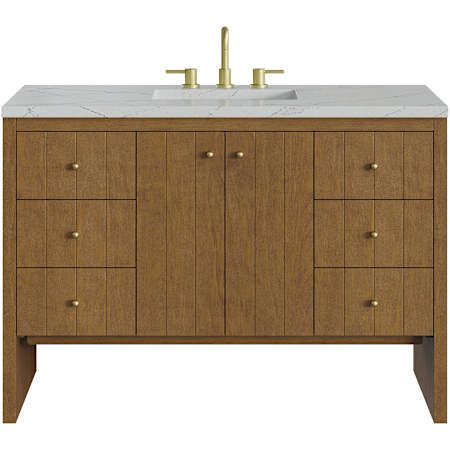 James Martin Vanities Hudson 48" Free Standing Single Basin Poplar Wood Vanity Set with Stone Composite Top, Rectangular Sink, USB Port(s), and Electrical Outlet(s) Honey Oak