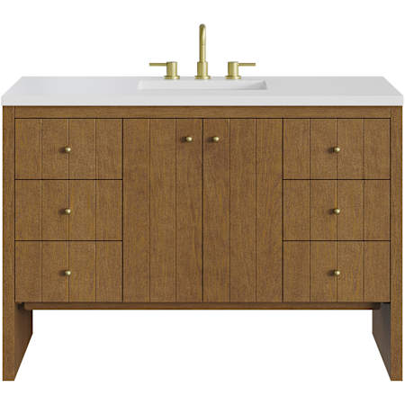 James Martin Vanities Hudson 48" Free Standing Single Basin Poplar Wood Vanity Set with Stone Composite Top, Rectangular Sink, USB Port(s), and Electrical Outlet(s) Honey Oak