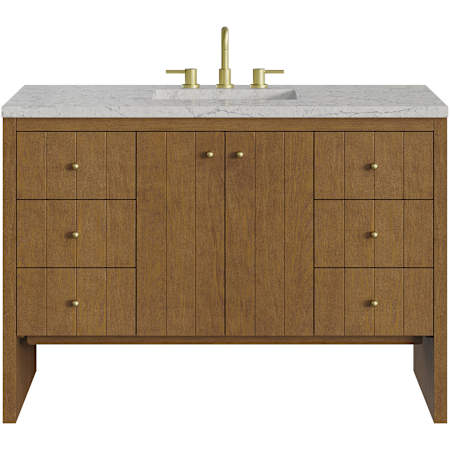 James Martin Vanities Hudson 48" Free Standing Single Basin Poplar Wood Vanity Set with Stone Composite Top, Rectangular Sink, USB Port(s), and Electrical Outlet(s) Honey Oak