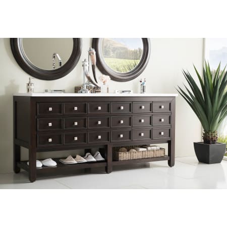 James Martin Vanities-506-V69D-SN-Alternate View