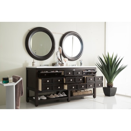 James Martin Vanities-506-V69D-SN-Alternate View