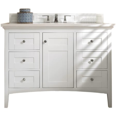 James Martin Vanities Palisades 48" Free Standing Single Vanity Set with Wood Cabinet and Arctic Fall Stone Composite Vanity Top Bright White