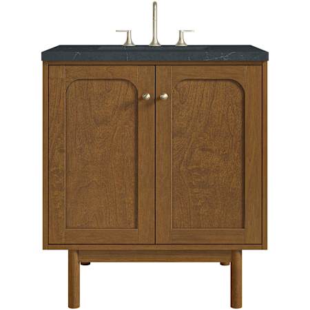 James Martin Vanities Laurent 30" Single Basin Poplar Wood Vanity Set with Stone Composite Top, Rectangular Sink, USB Port(s), and Electrical Outlet(s) Honey Oak