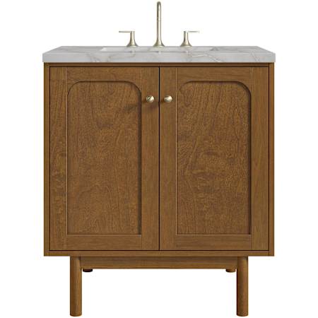 James Martin Vanities Laurent 30" Single Basin Poplar Wood Vanity Set with Stone Composite Top, Rectangular Sink, USB Port(s), and Electrical Outlet(s) Honey Oak
