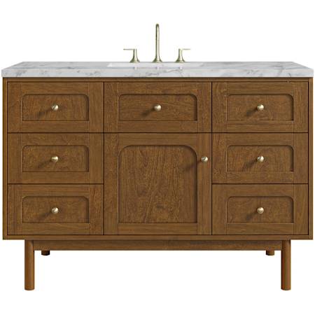 James Martin Vanities Laurent 48" Single Basin Poplar Wood Vanity Set with Marble Top, Rectangular Sink, USB Port(s), and Electrical Outlet(s) Honey Oak