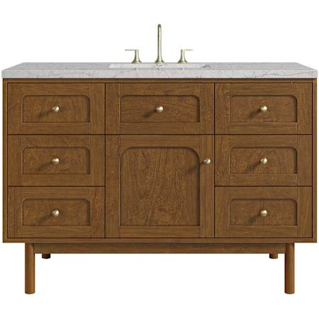 James Martin Vanities Laurent 48" Single Basin Poplar Wood Vanity Set with Stone Composite Top, Rectangular Sink, USB Port(s), and Electrical Outlet(s) Honey Oak