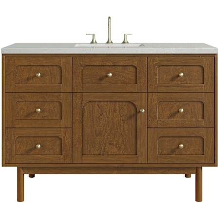 James Martin Vanities Laurent 48" Single Basin Poplar Wood Vanity Set with Stone Composite Top, Rectangular Sink, USB Port(s), and Electrical Outlet(s) Honey Oak