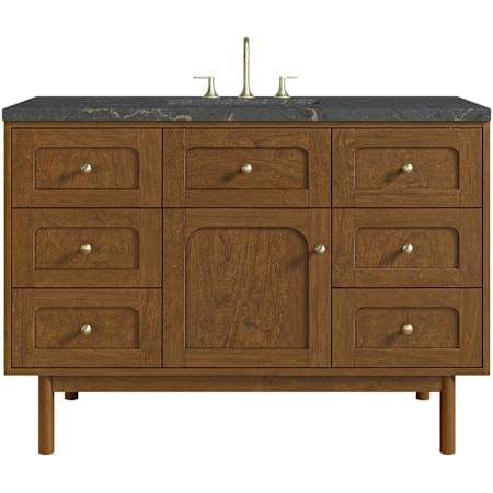James Martin Vanities Laurent 48" Single Basin Poplar Wood Vanity Set with Stone Composite Top, Rectangular Sink, USB Port(s), and Electrical Outlet(s) Honey Oak