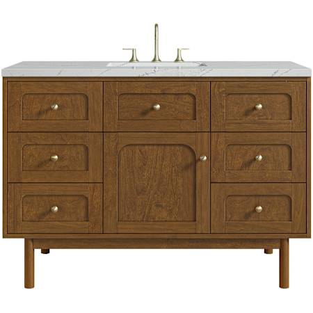 James Martin Vanities Laurent 48" Single Basin Poplar Wood Vanity Set with Stone Composite Top, Rectangular Sink, USB Port(s), and Electrical Outlet(s) Honey Oak