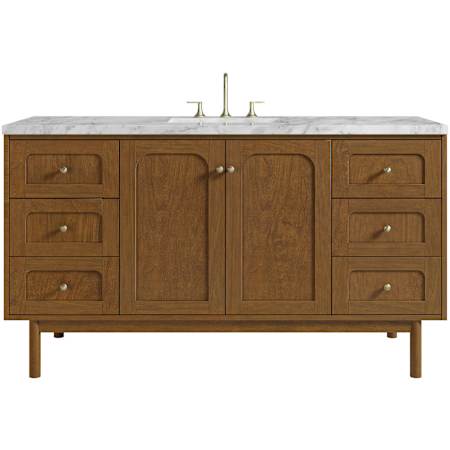 James Martin Vanities Laurent 60" Single Basin Poplar Wood Vanity Set with Marble Top, Rectangular Sink, USB Port(s), and Electrical Outlet(s) Honey Oak